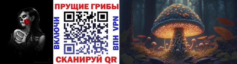 Галлюциногенные грибы мицелий  Купить где  Сосенский 